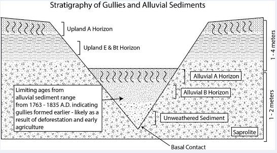 Diagram of gully formation in the Piedmont