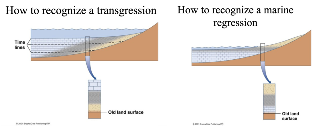 This image shows how to recognize a transgression and regression in a Strat Column, based on if the limestone is layered above the sand or below it.