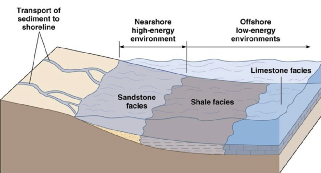 The image above features a 3D model of a shoreline, displaying the various sediments as they appear in nearshore and offshore environments.