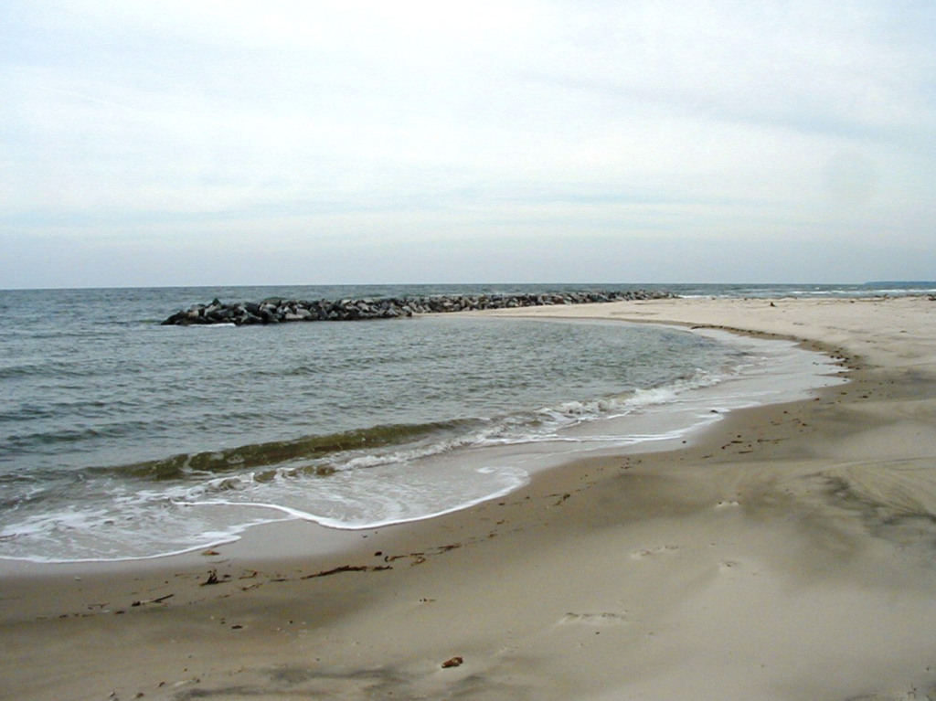 Photograph of groin
