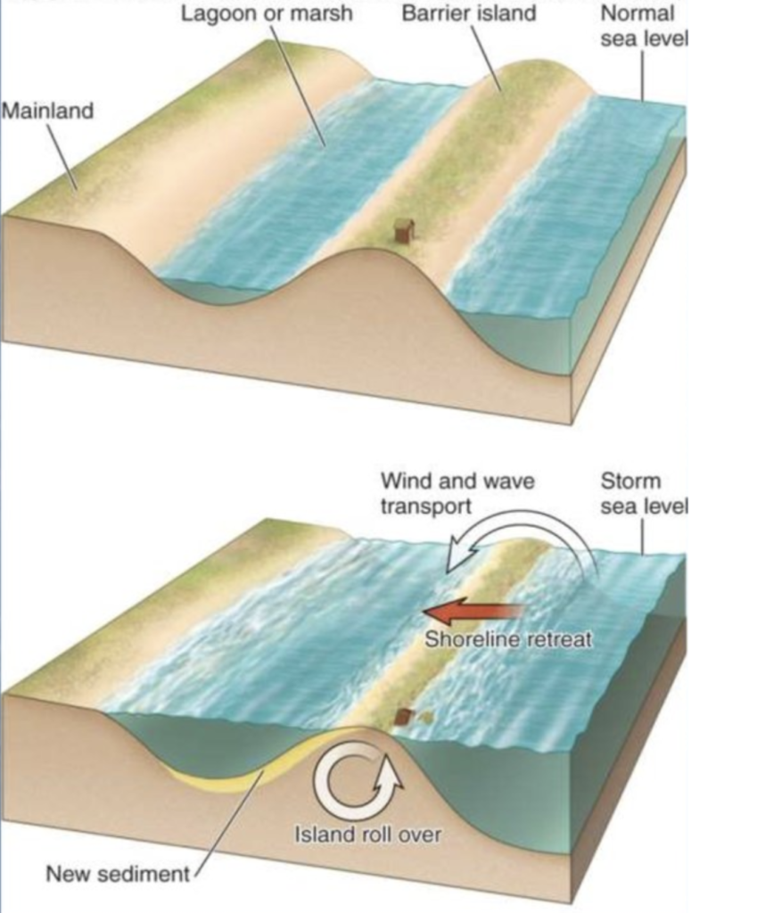 Barrier Island Rollover Diagram