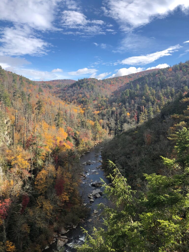 Photo of Linville River shortly after the plunge basin. 