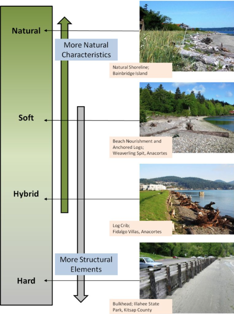 Stabilization Continuum ranging from Natural Beach to Hard Structures