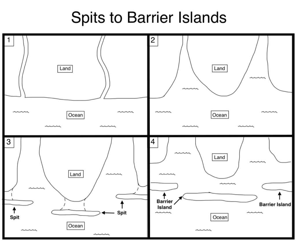 The image above shows in four stages the way waves form spits which eventually turn into independent barrier islands in the aftermath of a flooding event.