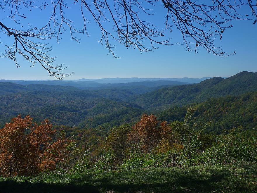 Trees and hills along the Blue Ridge mountain range