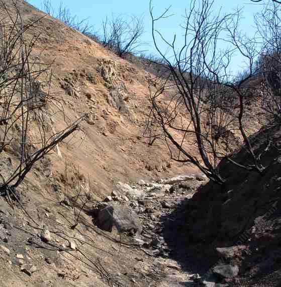 Fires encourage soil erosion and gully formation