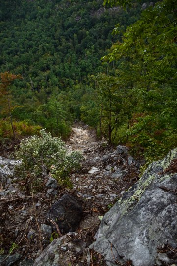 A skyview of the damage done by Hurricane Florence, with substantial altercation to forest structure.