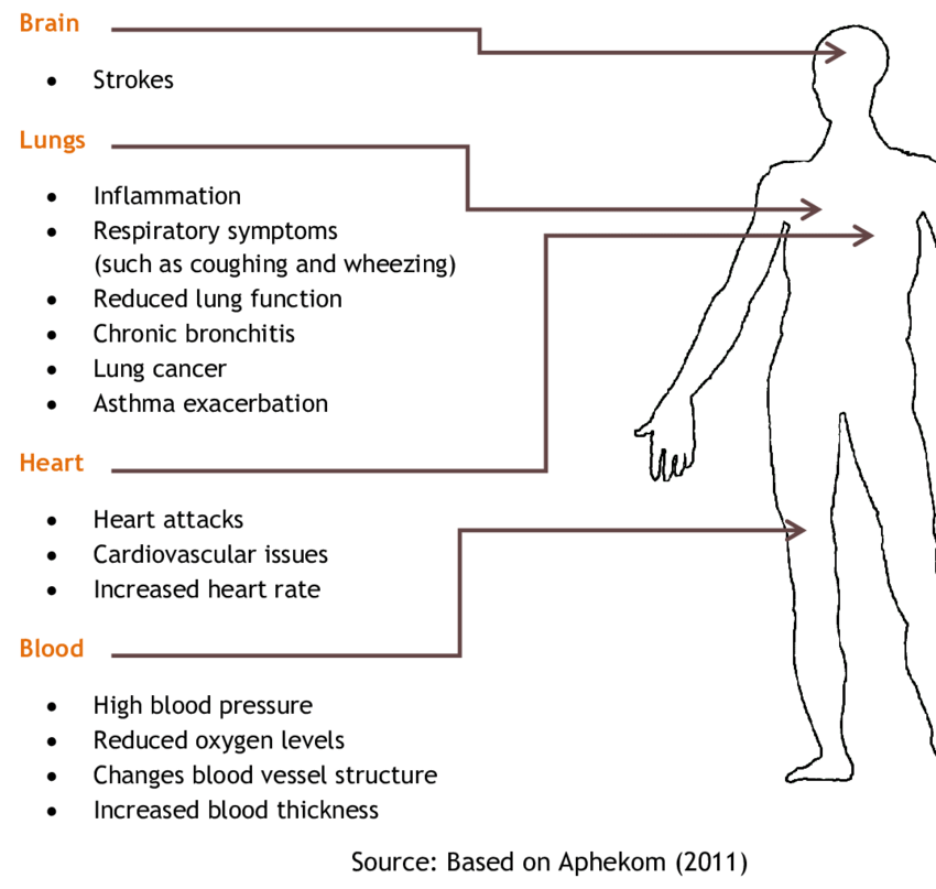 Various health issues associated with exposure to PM.