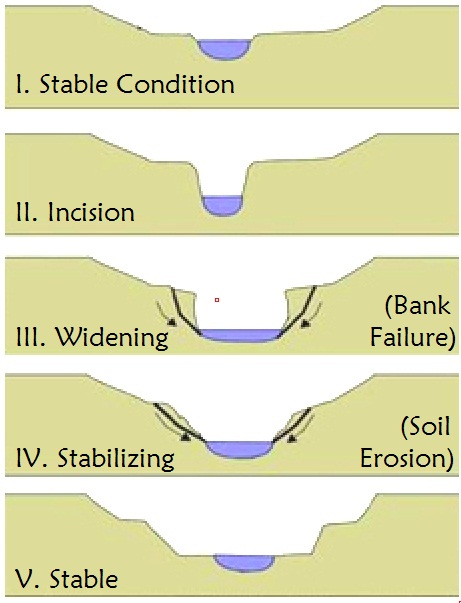 A diagram showing the effects of stream incision over time: beginning with stable conditions, the stream is incised, then the bank widens and surrounding banks release sediment into the waterway. The erosion of the surrounding riverbanks stabilizes the stream.