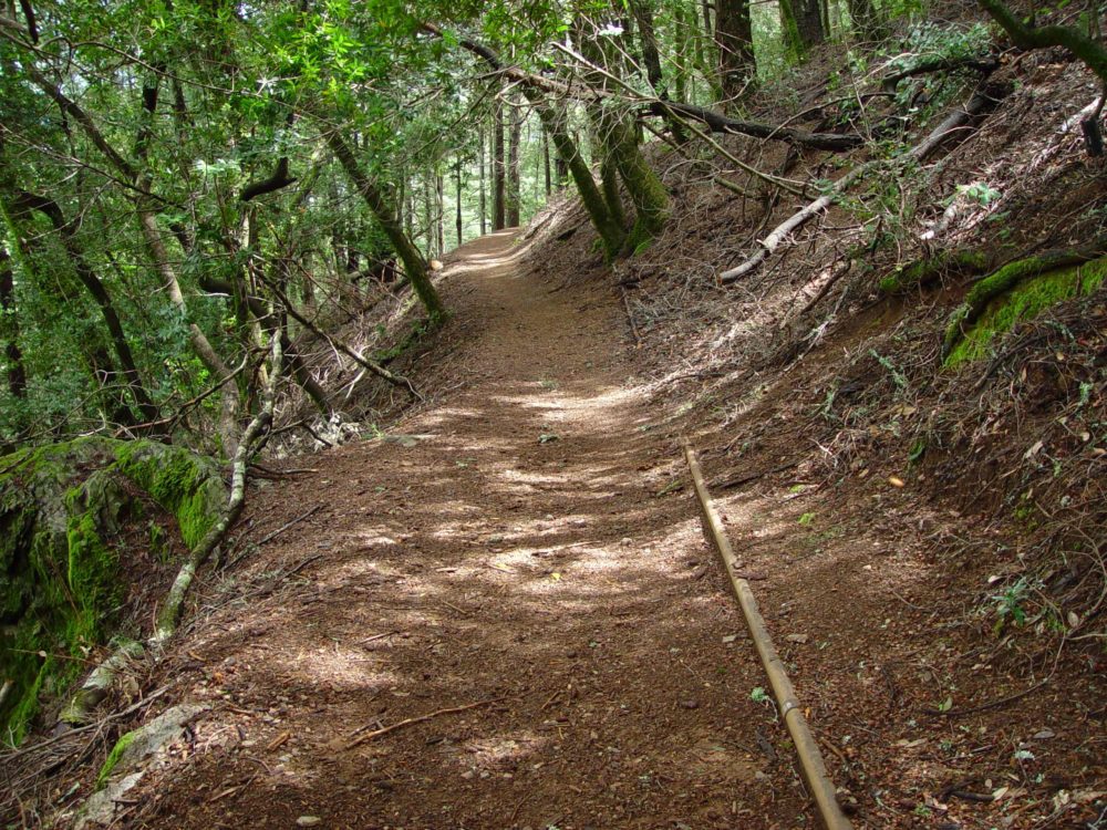 Walking trails causing gullies to form.